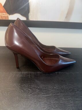 Mango Pointed-Toe Stiletto Pumps in Dark Wine
